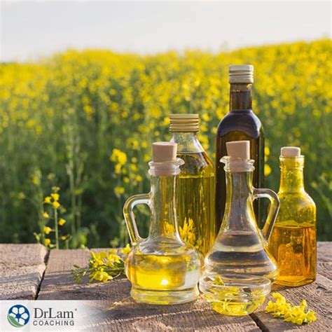 camelina-oil-what-your-cooking-has-been-missing image