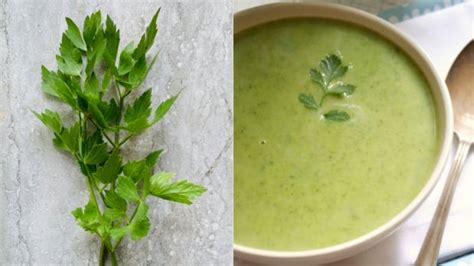 hardy-perennial-lovage-is-delicious-in-soups-stuffings image