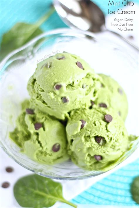 mint-chocolate-chip-ice-cream-dairy-free-vegan-no image