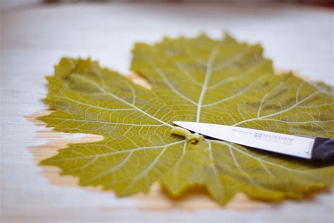 lebanese-stuffed-grape-leaves-simply-lebanese image