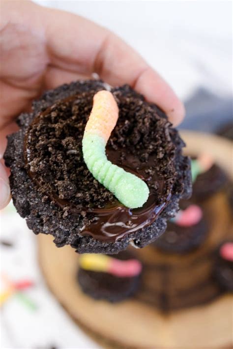dirt-and-worms-best-cookie image
