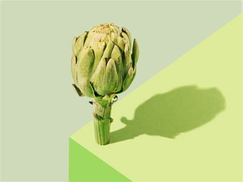 how-to-eat-and-cook-artichokes image