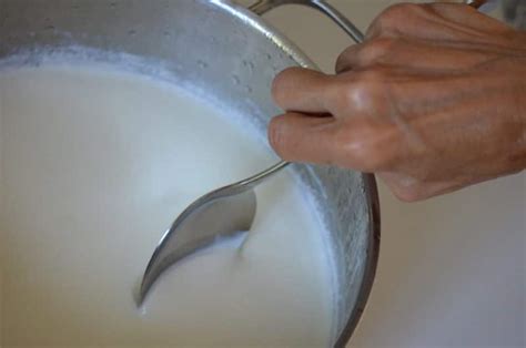 homemade-yogurt-lebanese-laban-the image