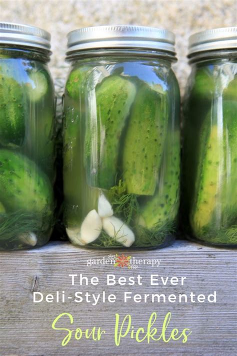 the-best-ever-deli-style-sour-pickles-recipe-ever image