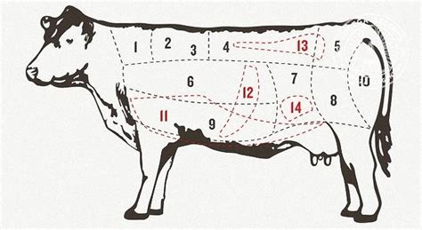 a-meat-lovers-guide-to-beef-cuts-in-argentina image