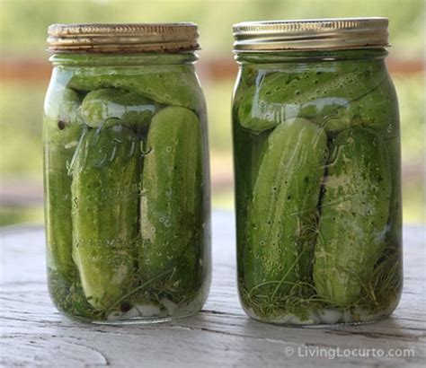 homemade-old-fashioned-dill-pickle image