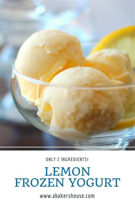 lemon-frozen-yogurt-a-bakers-house image