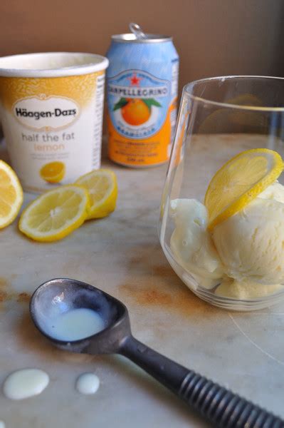 lemon-blood-orange-float-cool-in-the-heat-food image