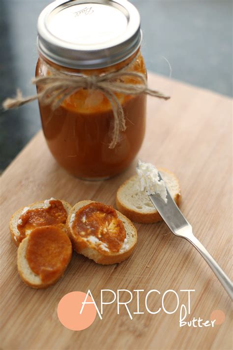 easy-crockpot-apricot-butter-fresh-mommy-blog image