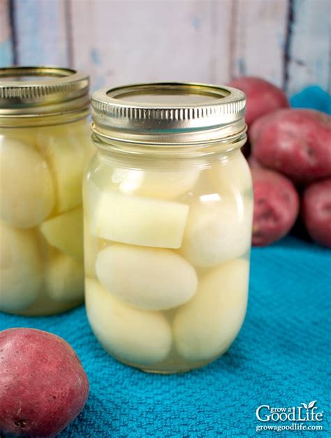 canning-potatoes-how-to-pressure-can-potatoes-for image