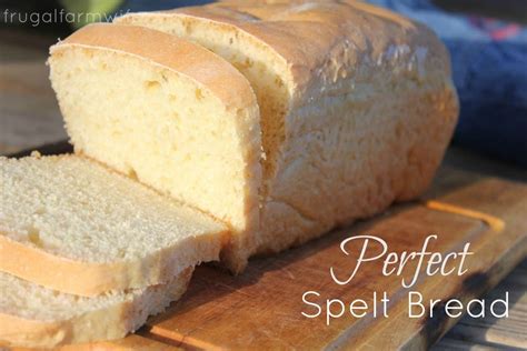 perfect-spelt-sandwich-bread-recipe-the-frugal-farm image