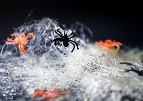 spun-sugar-spider-webs-southern-fatty image