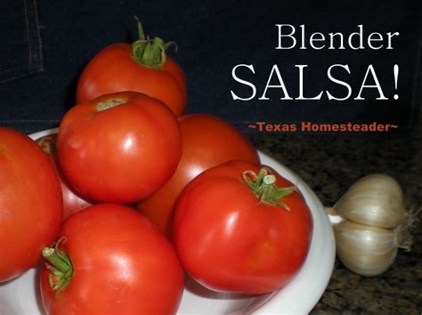 myo-dry-salsa-mix-salsa-in-a-blender-using-garden image