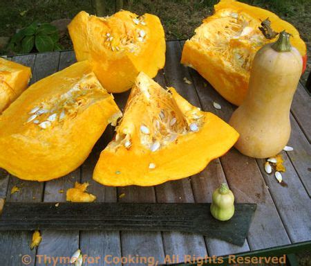 sauted-butternut-squash-oriental-style-thyme-for image