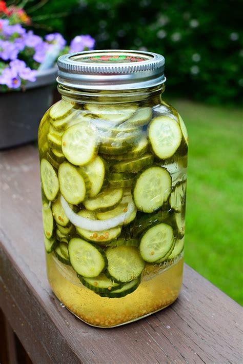 make-your-own-delicious-bucket-pickles-the-salty-pot image