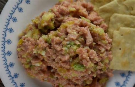 old-fashioned-bologna-salad-recipe-these-old image