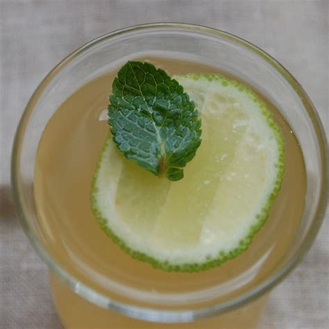 apple-mint-lime-cooler-lemonade-recipe-on-food52 image