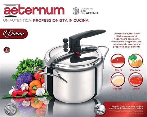 aeternum-pressure-cooker-reviews-and image