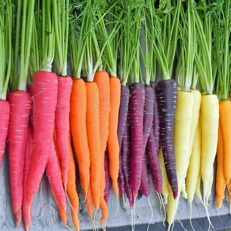 vegetables-are-carrots-dyed-orange-seasoned-advice image