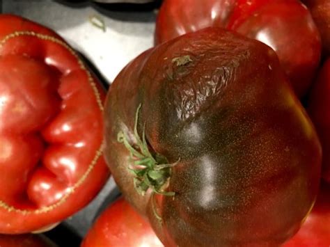 10-ways-to-cook-with-ugly-tomatoes-food-network image