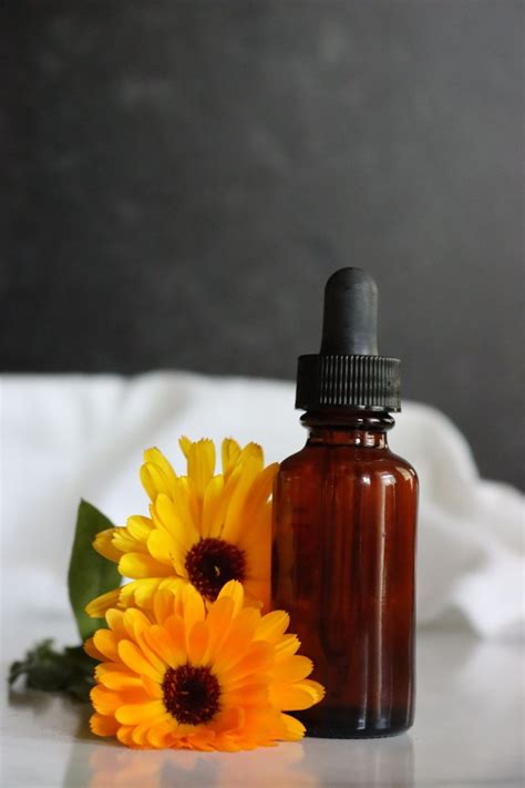 how-to-make-calendula-oil-ways-to-use-it-practical image