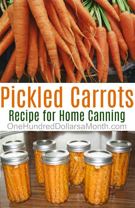 canning-101-pickled-dill-carrots-one-hundred image