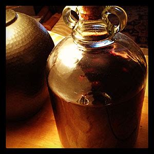 recipe-homemade-damson-vodka-ashridge-blog image