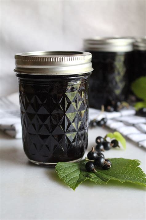 blackcurrant-jelly-practical-self-reliance image