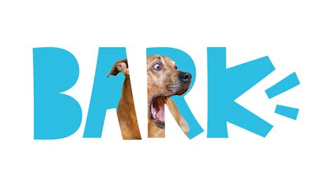 bark-making-magic-for-all-dogs-and-their-people image
