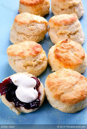 biscuit-baking-mix-recipes-biscuits image