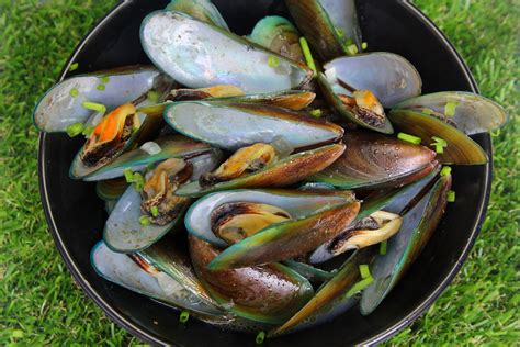 how-to-steam-mussels-11-steps-with-pictures-wikihow image