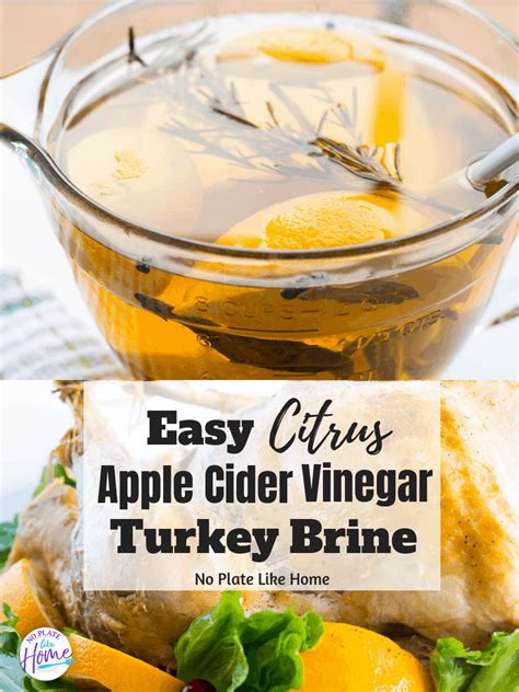 turkey-brine-with-apple-cider-vinegar-no-plate-like-home image