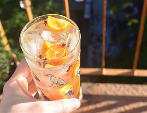 kumquat-and-clove-gin-and-tonic-garden-cocktails image