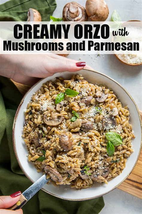 creamy-orzo-with-mushrooms-and-parmesan image