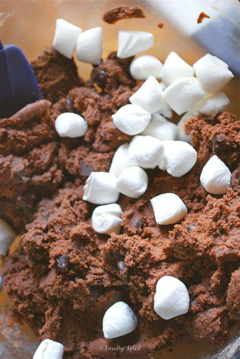 double-chocolate-marshmallow-cookies-family-spice image