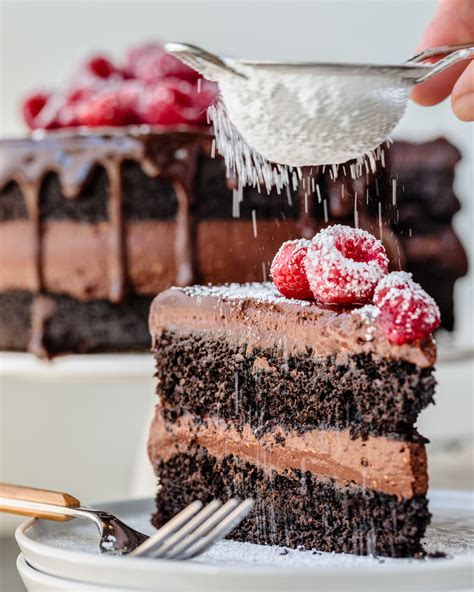 malted-chocolate-raspberry-cake-southern-fatty image