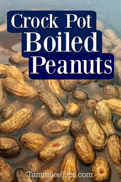 crock-pot-cajun-boiled-peanuts-tammilee-tips image