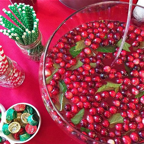 holiday-cranberry-mint-punch-eat-yourself-skinny image