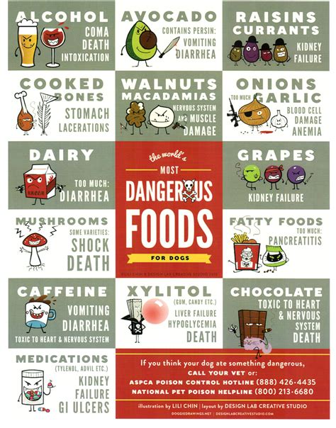 common-foods-that-are-poisonous-to-dogs image