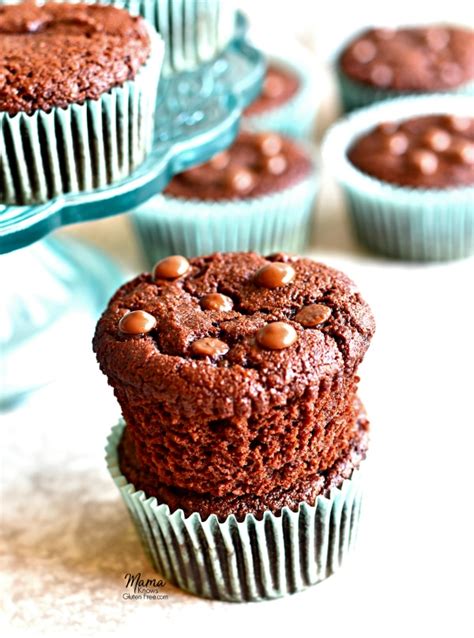 paleo-chocolate-muffins-gluten-free-grain-free-dairy-free-no image
