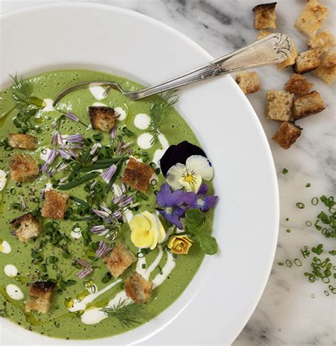chilled-cucumber-spinach-soup-edible-communities image