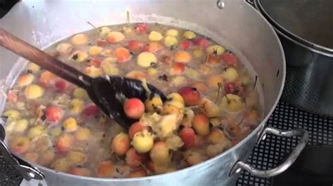 how-to-make-crab-apple-jelly-youtube image