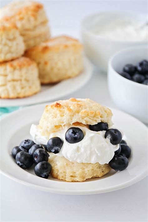simple-blueberry-shortcake-one-little-project image