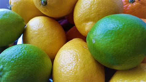 lemons-float-and-limes-sink-freises-corner-bar image
