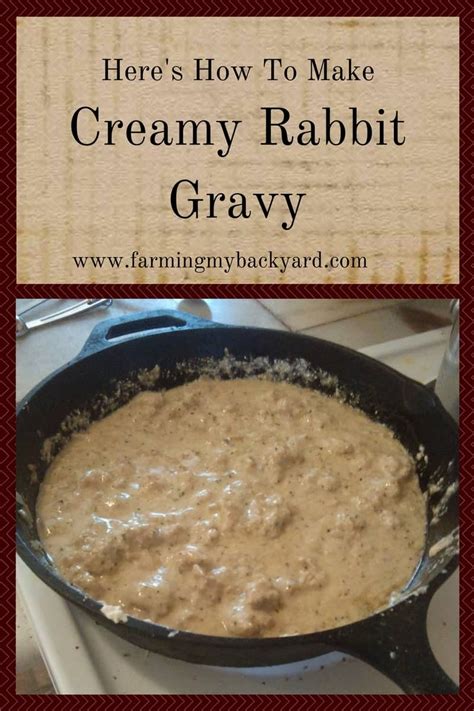heres-how-to-make-creamy-rabbit-gravy-farming image