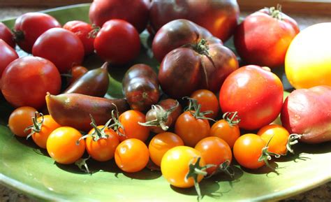 heirloom-tomato-salad-with-fresh-mozzarella image