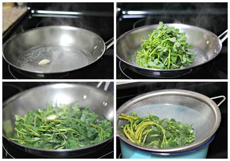 steamed-purslane-recipe-easy-quick-and-beneficial image