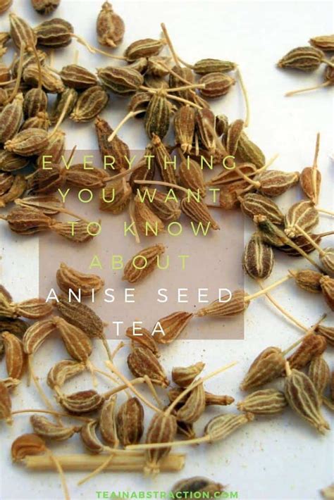 anise-seed-tea-benefits-side-effects-preparation image
