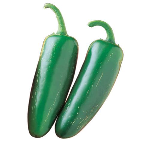 mucho-nacho-hybrid-pepper-hot-pepper-seeds image