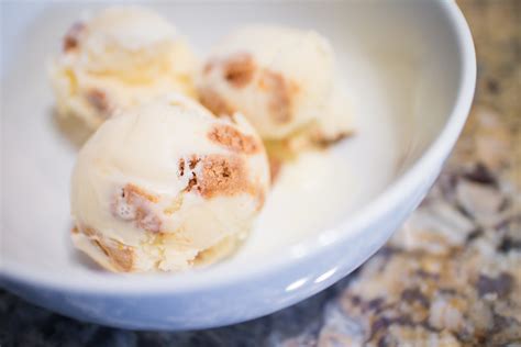 recipe-lemon-gingersnap-ice-cream-delishably image